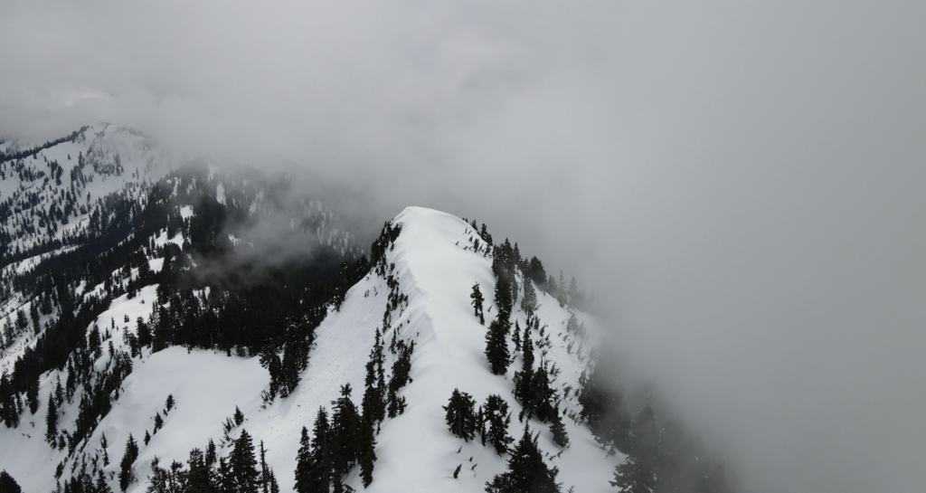 Screen Shot 2023 02 25 At 12.46.07 PM 1024x545